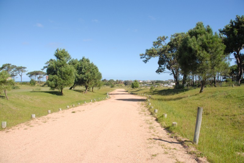 Terreno en venta en Pinar del Faro en Jose Ignacio